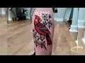 NEO TRADITIONAL CARDINAL TATTOO - by Corey Lewis