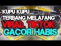 Download Lagu DJ KUPU KUPU TERBANG MELAYANG VIRAL TIKTOK | RONAL GILAK REMIX 2025