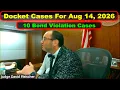 Judge Fleischer s Criminal Court Docket August 14th 2026 - Vikky s Court Watch