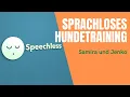 Download Lagu 🤔🤐Wie trainiere ich meinen hund | Sprachloses Hundetraining (SDTS)