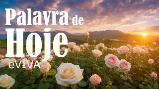 PALAVRA DO DIA 25 DE FEVEREIRO DE 2025 EVIVA MENSAGEM DE BOM DIA E MOTIVACIONAL JÓ 34V27