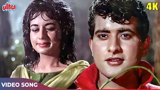 jaan e chaman shola badan 4k mohd rafi romantic hits manoj kumar nanda gumnaam songs