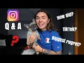 Q A GET TO KNOW ME ABBY BERNER