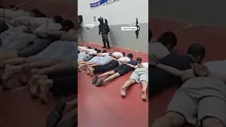 تغطية صحفية  بالكلاب   تنكيل وحشي بأسرى فلسطينيين في سجن  مجدو  الإسرائيلي دندنها