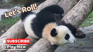 I Just Invented A New Slide Technique | iPanda