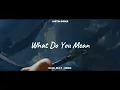 Download Lagu JEDAG JEDUG !!! Rawi Beat - What Do You Mean ( New Rmx )
