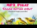 Download Lagu Mp3 pikat sogon Kombinasi Prenjak Lumut Ribut
