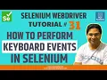 Selenium WebDriver Tutorial - How to Perform Keyboard Events in Selenium
