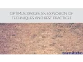 Webinar Optimus XPages An Explosion of Techniques and Best Practices