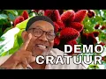Download Lagu Demo-cratuur