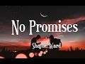 Download Lagu No Promises - Shayne Ward || Lyrics