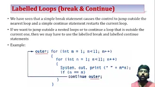 Labelled Loops break Continue