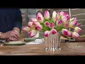 Martha s Flowers A Practical Guide to Growing on QVC