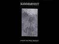 The Ruins And The Serene - Kammarheit