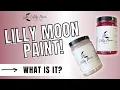 LILLY MOON PAINT WHAT IS IT