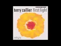 Terry Callier - Ordinary Joe