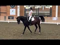 High Point Dressage Sofi on Donahue Third Level Test 2 score 71 98