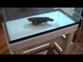 How to Build a 40 Gallon Breeder Aquarium Stand for 25 - DIY Wednesday