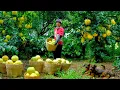Download Lagu Harvest Yellow Pomelos To Sell At Market, Trim Vegetable Leaves For Chicken Feed, Inspect The Garden