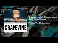 Grapevine vs Split (Tomorrowland 2019 Tiësto Mashup)