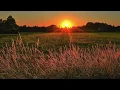 P!nk, Willow Sage Hart - Cover Me In Sunshine (Lyrics)
