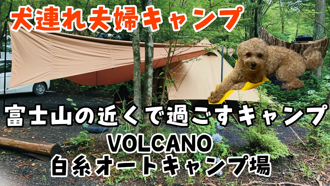 【犬連れ夫婦キャンプ🐶】富士の近くで過ごす！VOLCANO白糸オートキャンプ場！ 썸네일