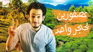 بالهندي تقولها إزاي ازاي تقول ضربت عصفورين بحجر واحد 