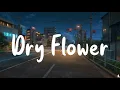 優里 ° Yuuri - Dry Flower • ドライフラワー • 「Covered by みさき」Romaji Lyrics