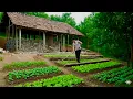 Download Lagu CEO leaves the city for the forest, turns abandoned house into self-sufficient living stone house!