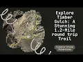 Into the Heart of Timber Gulch - A Drone Journey Through Oregon s Hidden Amphitheater