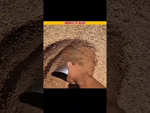 MIRACLE OF ALLAH IN PALASTINE 😱🤲#facts #amazingfacts #islamic #shortvideo