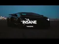 INSANE - AP DHILLON - ( Slowed + Reverb) - honeybee