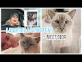 i adopted a cat because im lonely