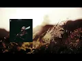 Cocaine and Abel (Live) - Amigo the Devil