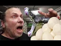 PYTHON BITES WHILE TAKING HER SNAKE EGGS AWAY BRIAN BARCZYK