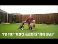 The INSANE new Pet Turf installation that DOGS LOVE