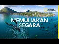 Download Lagu Perjalanan Ke Pulau Banda: Jejak Sejarah, Rempah-Rempah, dan Konservasi Laut