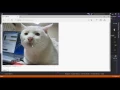ASP NET Dropdown List Control