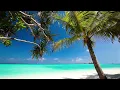Les sunlights des tropiques - Gilbert Montagné (Paroles Lyrics)