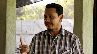 PRODUCCIÓN DE LECHONES EN UN SISTEMA SEMI INTENSIVO