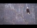 Windham NY Land in the Sky 2014 Promo