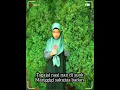Download Lagu Sakik dek ulah cinto : Vanny Vabiola(Lirik)