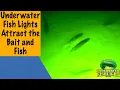 Better Fishing with Underwater Lights - Barnegat Bay