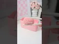 Pack My Lunch With Me