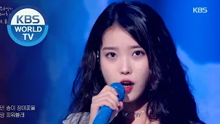 iu blueming sketchbook kbs world tv 200918