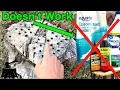How To Rot A Tree Stump The Only Way That Works