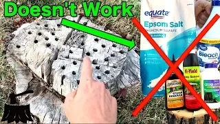 How To Rot A Tree Stump The Only Way That Works