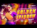 Download Lagu GOLDEN SPARROW | REMIX | DJ VISHWAS | DJ BHARGZZ | ABHISHEK NAIK VISUALS.