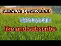Download Lagu Pesawahan cidampar