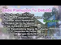 Download Lagu Pasupasu Hamion Tuhan | Reggae Lagu Rohani Batak NonStop